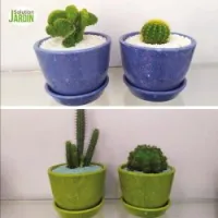 pack de 5 pots de fleur en céramique