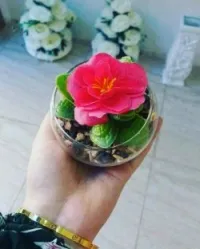 Plantes artificielles