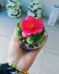 الجزائر-القبة-ديكورات-و-ترتيب-plantes-artificielles