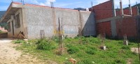 blida-mouzaia-algerie-terrain-vente