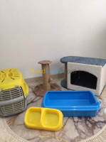 alger-zeralda-algerie-accessoire-pour-animaux-Équipement-chat-à-vendre