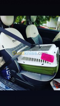 طب-و-صحة-transport-veterinaire-urgences-بئر-خادم-الجزائر