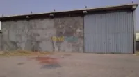 Location Hangar Setif El eulma