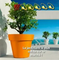 Pot de fleur jardiniere