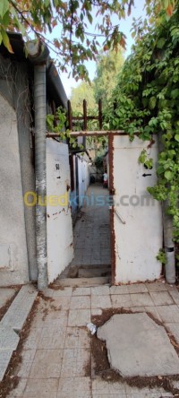 قسنطينة-الجزائر-محل-vente-local-constantine