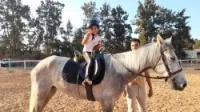 J'ai trois chevaux.