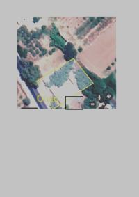 مستغانم-المنصورة-الجزائر-أرض-byaa-ard-mstghanm-almnsor