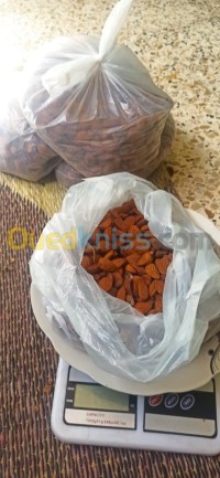 تيارت-الجزائر-غذائي-بيع-لوز-بالجملة-مقشر-و-بالقشور