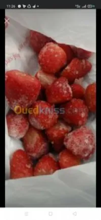 Fraise mangue congelée & surgelé 