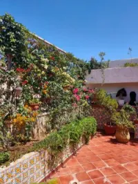 Vente Duplex F5 Alger Souidania