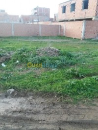 blida-boufarik-algerie-terrain-vente