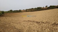 بومرداس-قورصو-الجزائر-أرض-byaa-ard-bomrdas-korso