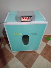 فقاسة محلية 288 بيضة 