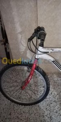 تيبازة-ڨوراية-الجزائر-معدات-رياضية-haro24