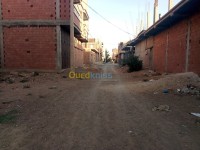 أرض-بيع-الجلفة-عين-وسارة-الجزائر
