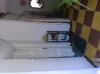 Vente Villa Chlef Chlef