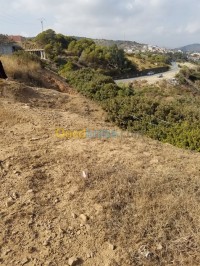 تيبازة-شرشال-الجزائر-أرض-byaa-ard-tybaz-shrshal