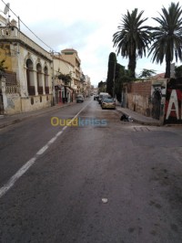 محل-بيع-الجزائر-بولوغين