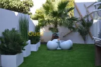   بيع لأشجار  و تهيئة المساحة الخضراء