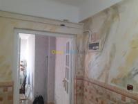 oran-algerie-construction-travaux-tout-de-pienture-et-rénovation