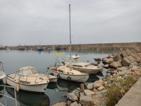 اصطياد-و-صيد-الأسماك-un-voilier-a-vendre-جيجل-الجزائر