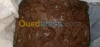 المسيلة-مسيلة-الجزائر-غذائي-choco