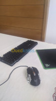 alger-les-eucalyptus-algerie-clavier-souris-et-gamer