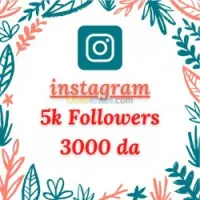 Instagram Followers