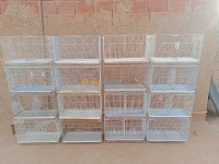 tiaret-ksar-chellala-algerie-accessoire-pour-animaux-اقفاص-عصافير