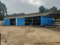 boumerdes-zemmouri-algeria-hangar-rent