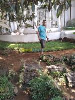 alger-les-eucalyptus-algerie-construction-travaux-gazon-et-jardin