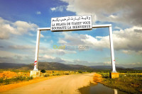 transport-et-demenagement-نقل-البضائع-والترحيل-bouinan-ain-naadja-blida-algerie