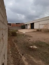 Vente Hangar Alger Sidi moussa