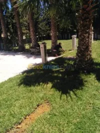 Aménagement des espaces verts