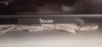 تلفزيون STREM جديد مكسور لافيشور