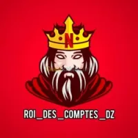 NETFLIX OFFICIEL CHEZ ROI DES COMPTES