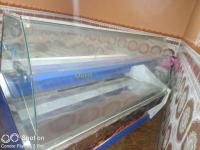 وهران-سيدي-الشحمي-الجزائر-ثلاجات-و-مجمدات-oran