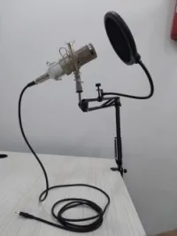 Kit Microphone Professionnel BM-800