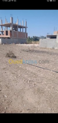 البليدة-شبلي-الجزائر-أرض-byaa-ard-alblyd-shbly