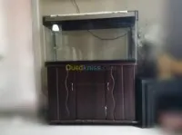 aquarium