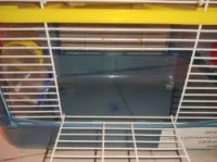 Cage hamster