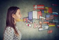 إدارة-مكتبية-و-أنترنت-traducteurs-interpretes-pro-دار-البيضاء-وهران-الجزائر