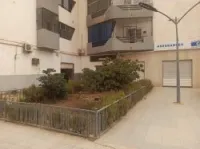 Vente Local Sidi bel abbes Sidi bel abbes