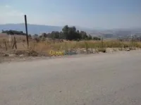 Vente Terrain Tizi ouzou Azazga
