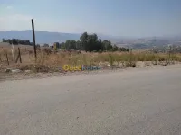Vente Terrain Tizi ouzou Azazga