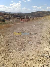 بومرداس-بودواو-الجزائر-أرض-byaa-ard-bomrdas-bodoao