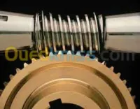  maintenance