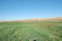 Vente Terrain Agricole Msila Ain el hadjel
