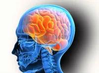DR CHIBANE NEUROLOGUE EMG EEG- PEV-PEA