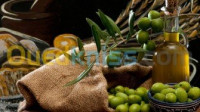 bejaia-akbou-algerie-alimentaires-huile-d-olive